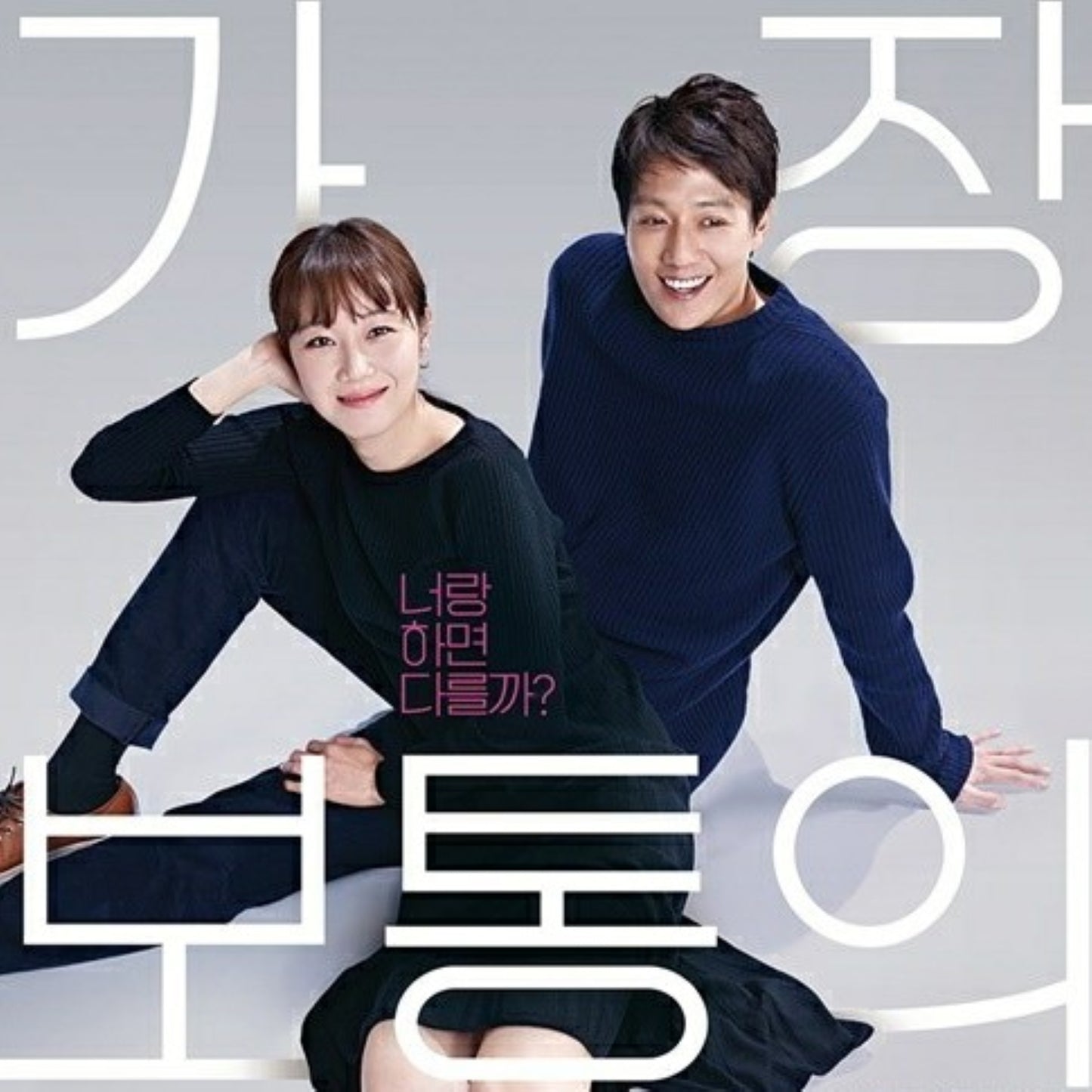 最も普通の恋愛 DVD 韓国映画