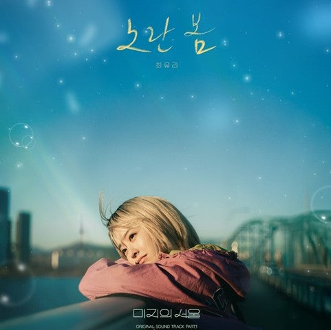 未知のソウル DVD Blu-ray | パク・ボヨン主演 ヒューマンドラマ 日本語字幕 韓国ドラマ