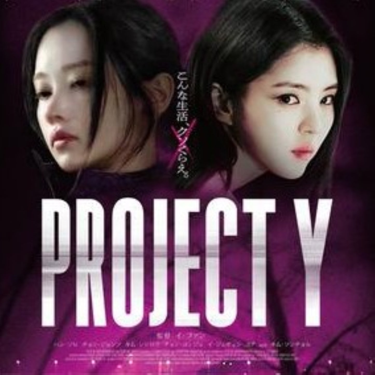 PROJECT Y(プロジェクトY) DVD 韓国映画