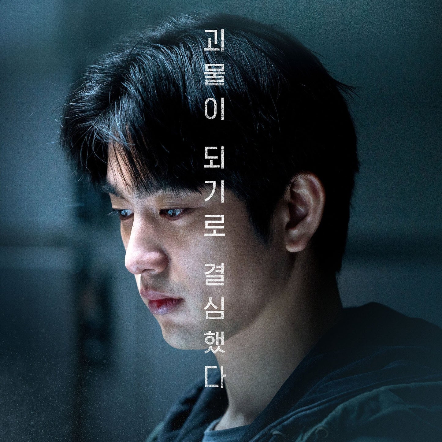 聖なる復讐者 DVD 韓国映画