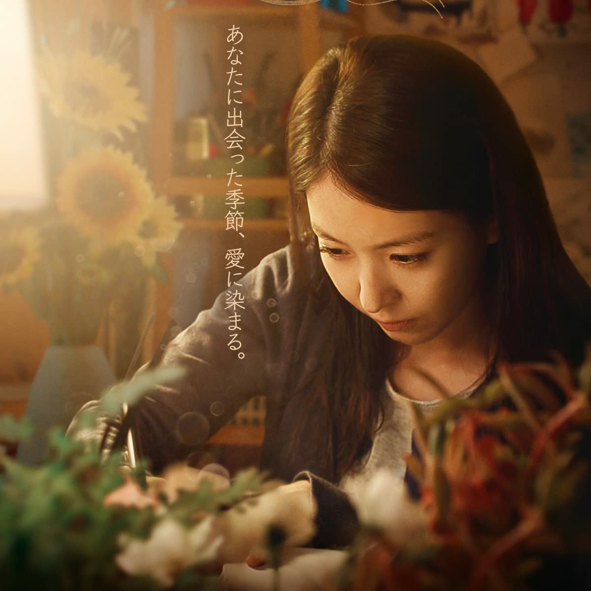 秋の郵便局 DVD 韓国映画
