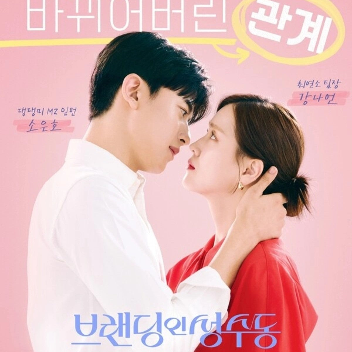 ブランディングイン聖水洞 DVD Blu-ray