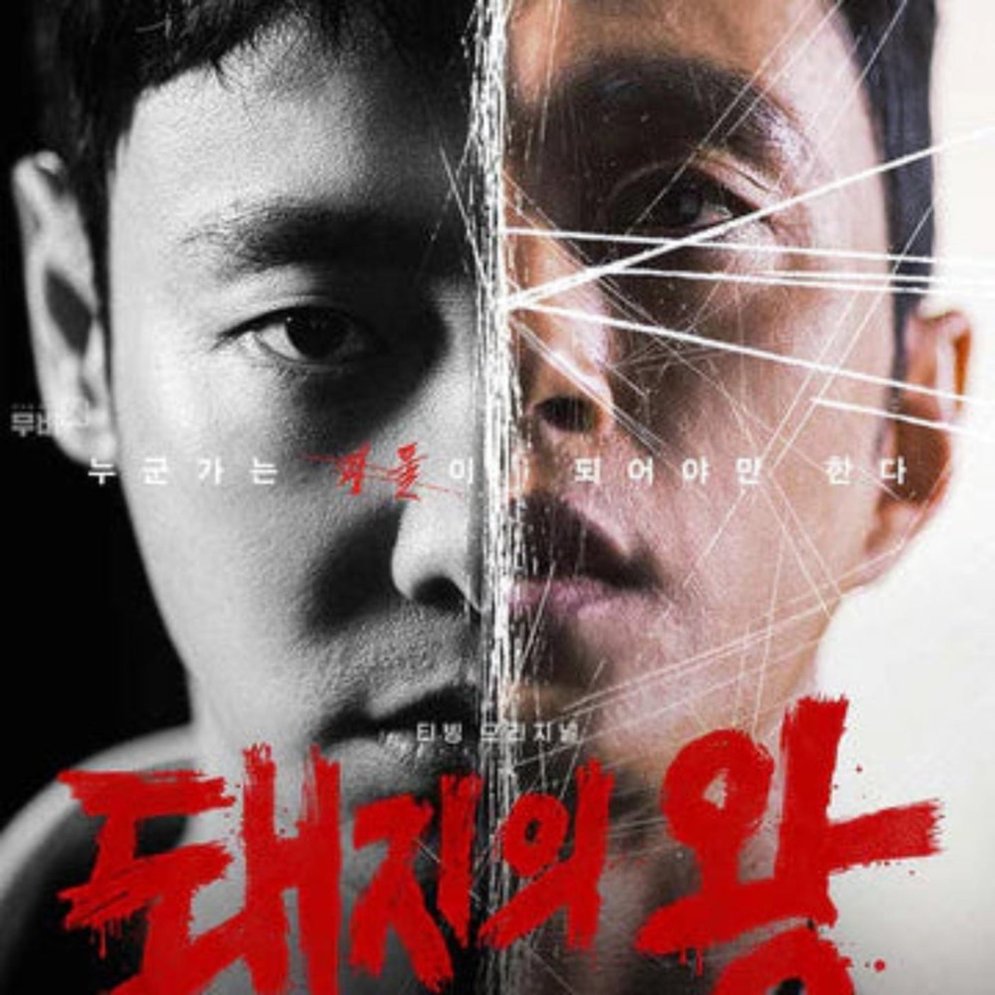 豚の王 DVD/Blu-ray