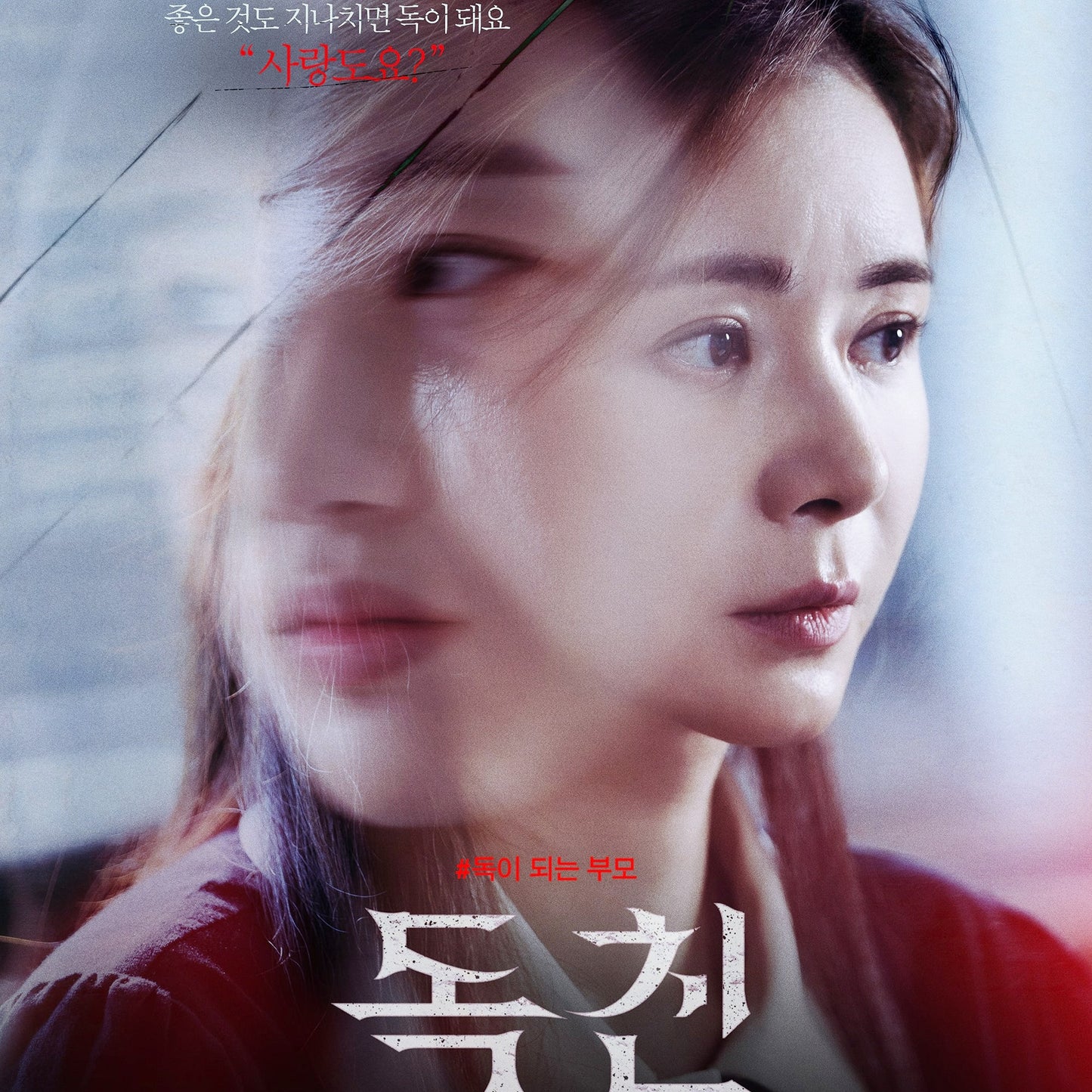 毒親<ドクチン> DVD | チャン・ソヒ主演 社会派ミステリー 日本語字幕 韓国映画