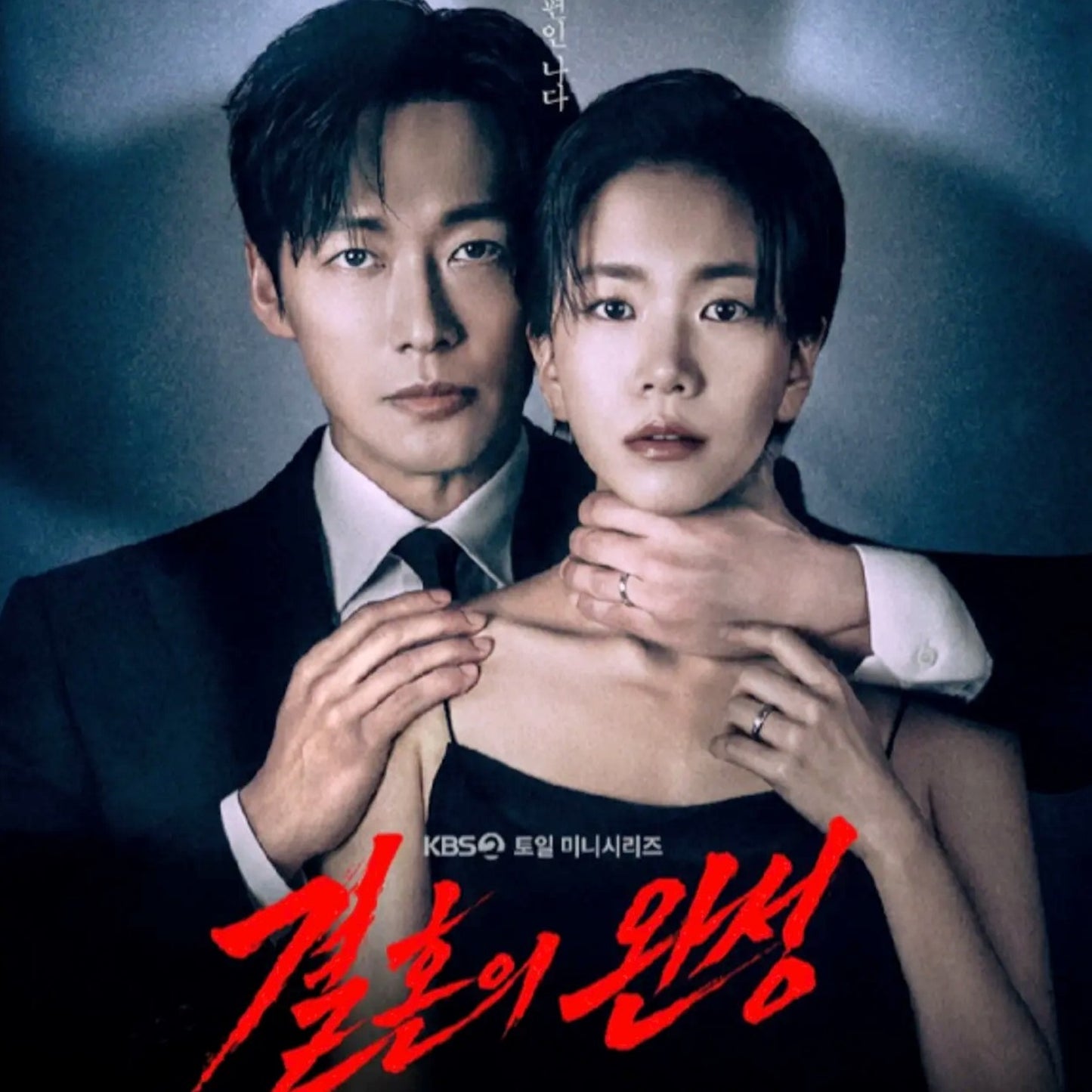 夫婦の結末 DVD/Blu-ray