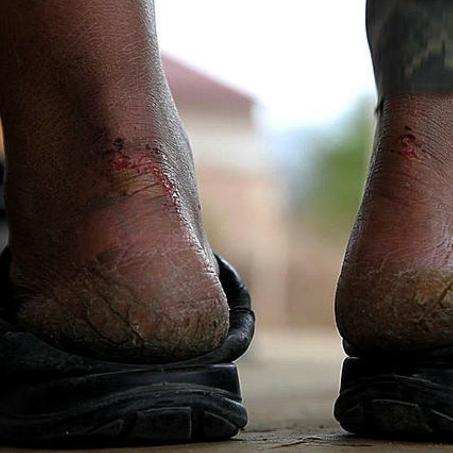 アリラン DVD 韓国映画