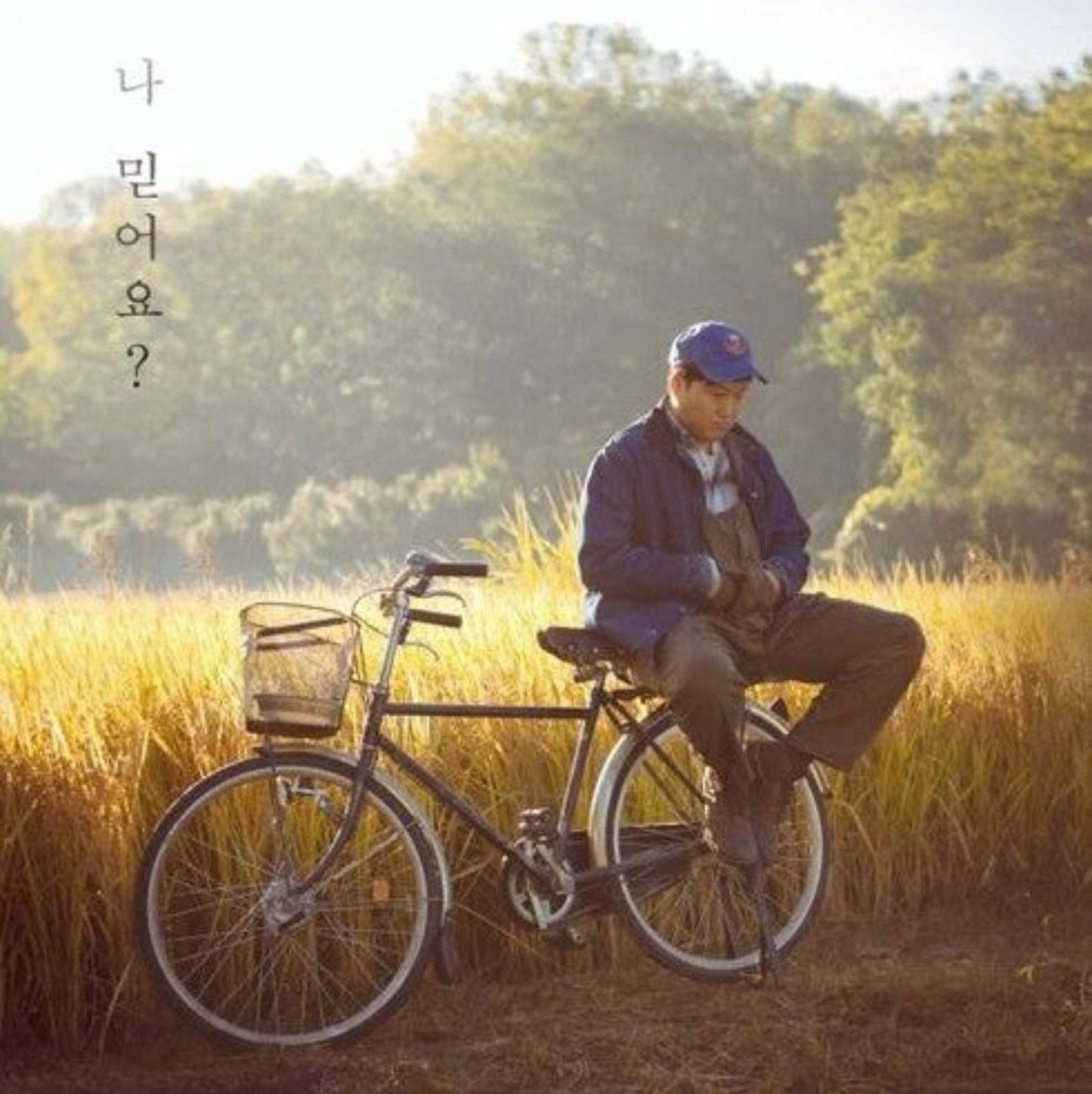 連鎖 DVD 韓国映画