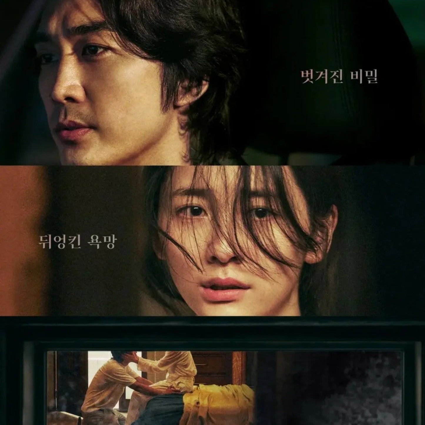 秘顔 -ひがん- DVD 韓国映画