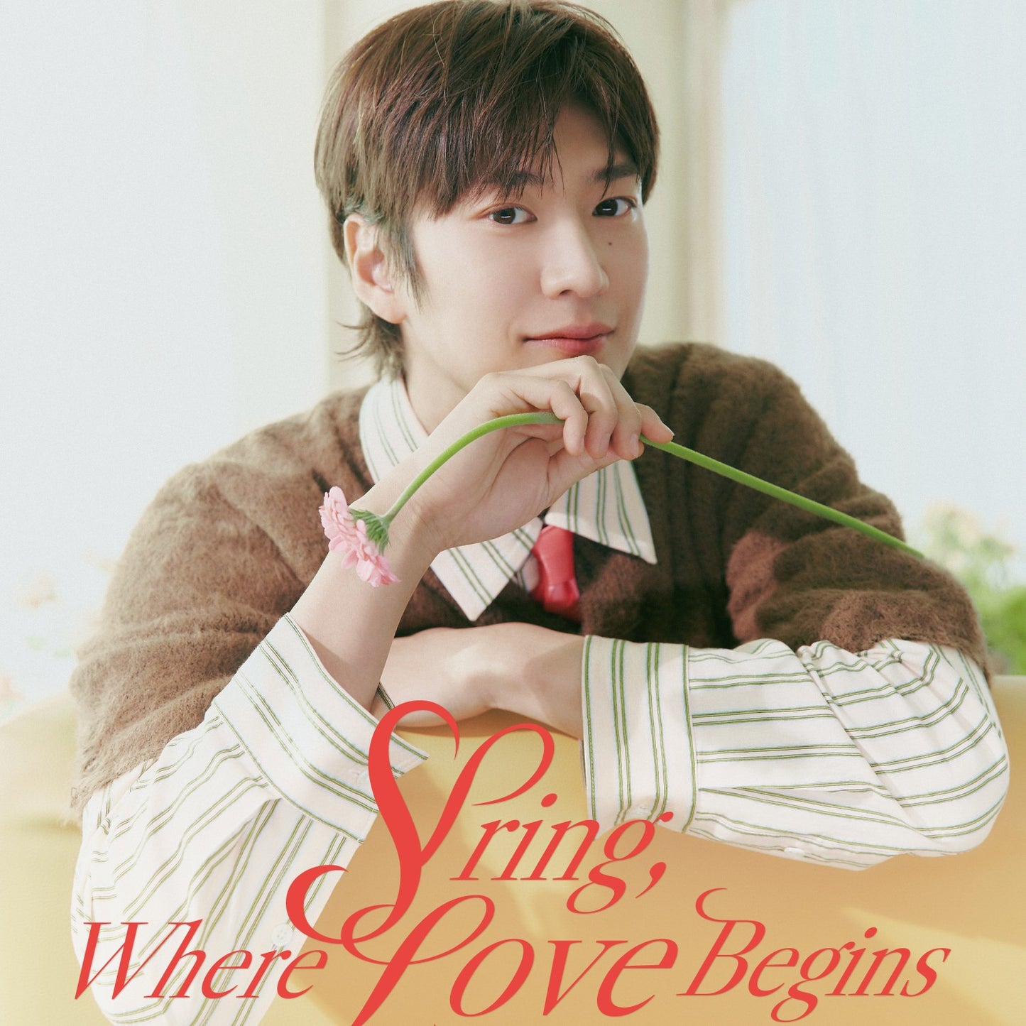 ナ・イヌ ファンミ 2025 Spring, Where Love Begins DVD | 日本語字幕 韓国バラエティ