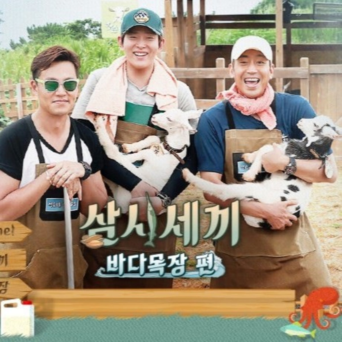 三食ごはん 海辺の牧場編(漁村編4) DVD バラエティ