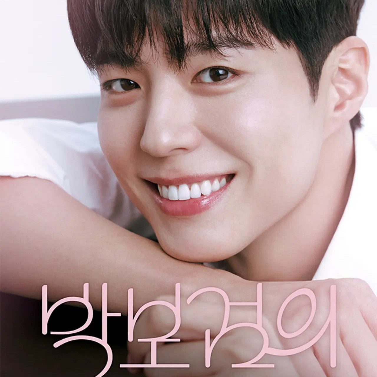 パク・ボゴムのカンタービレ~THE SEASONS~ DVD | K-POP 日本語字幕 韓国バラエティ