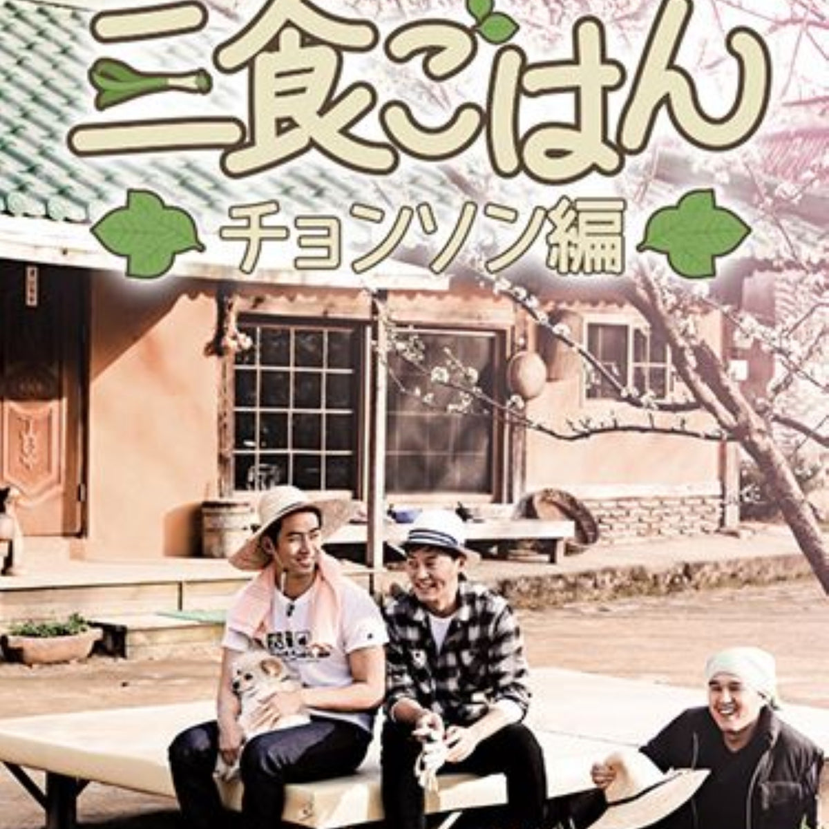 三食ごはん 旌善(チョンソン)編パート1 DVD バラエティ