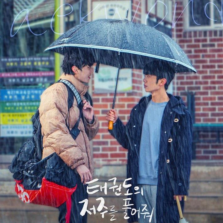 テコンドーの呪いを解いて DVD Blu-ray | 青春ドラマ 日本語字幕 韓国ドラマ