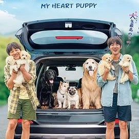 マイ・ハート・パピー DVD 韓国映画