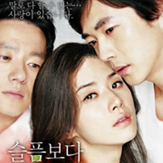 悲しみよりもっと悲しい物語 DVD 韓国映画
