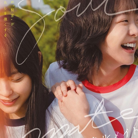 ソウルメイト DVD 韓国映画