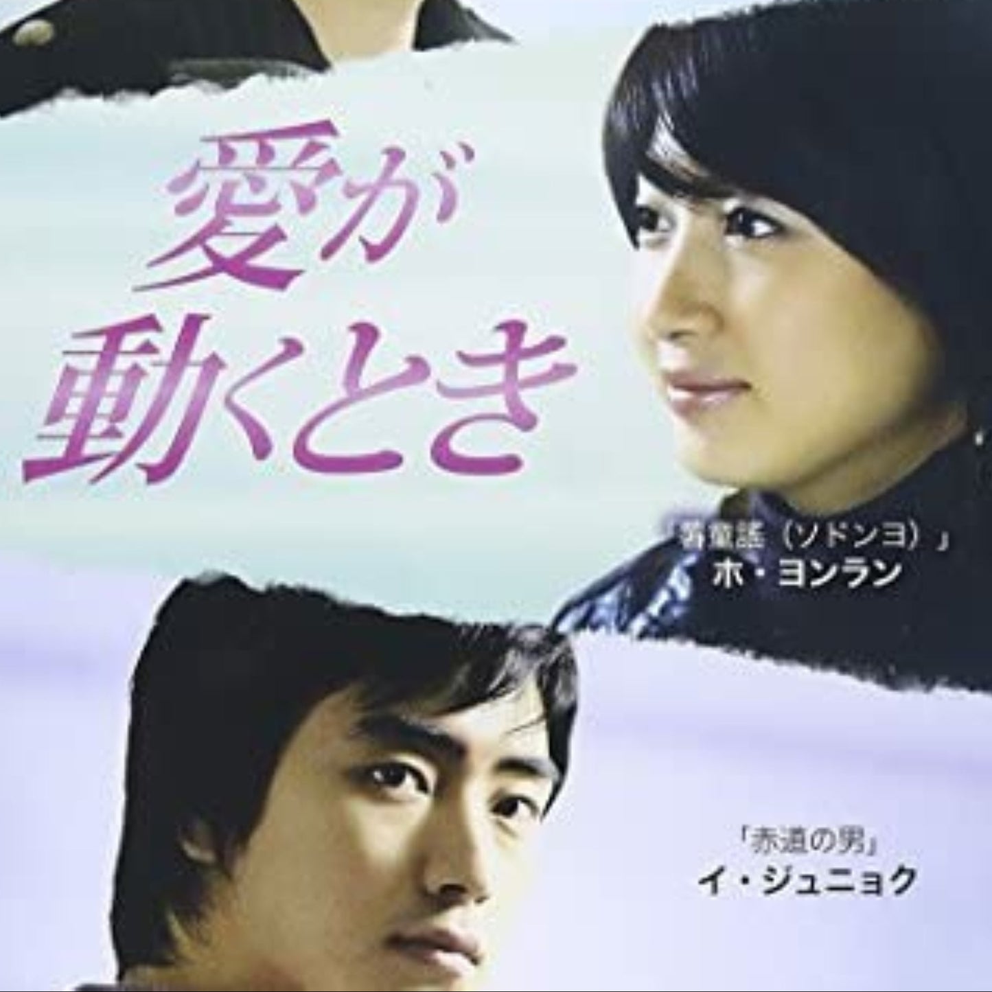 愛が動くとき DVD 韓国映画
