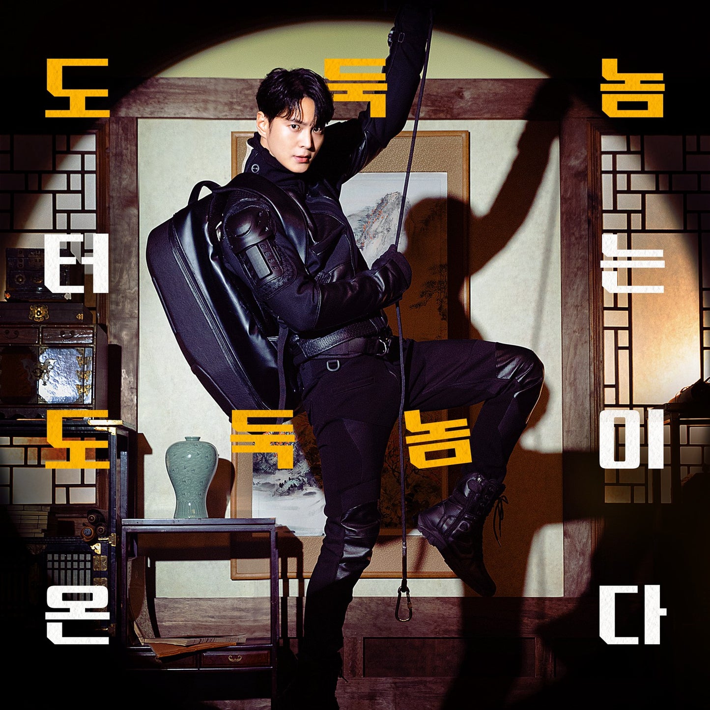 スティーラー ～七つの朝鮮通宝～ DVD Blu-ray