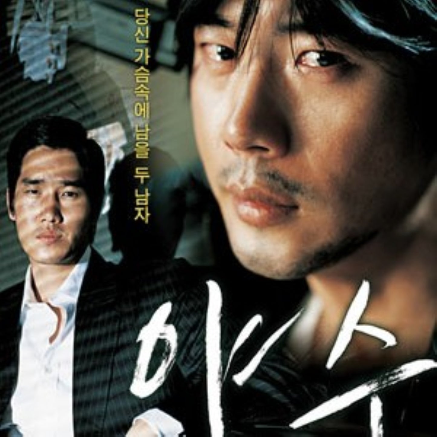 美しき野獣 DVD 韓国映画