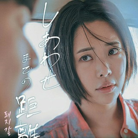しあわせまでの距離 DVD 韓国映画