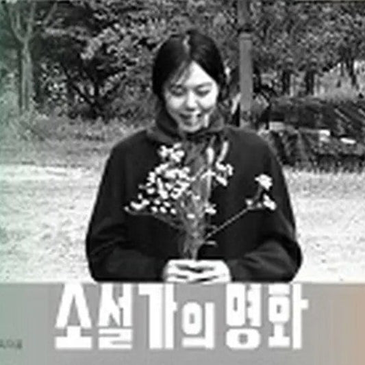 小説家の映画 DVD 韓国映画