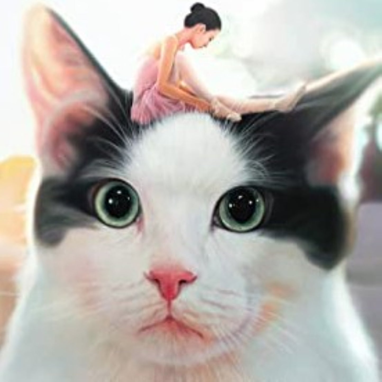私と猫のサランヘヨ DVD 韓国映画