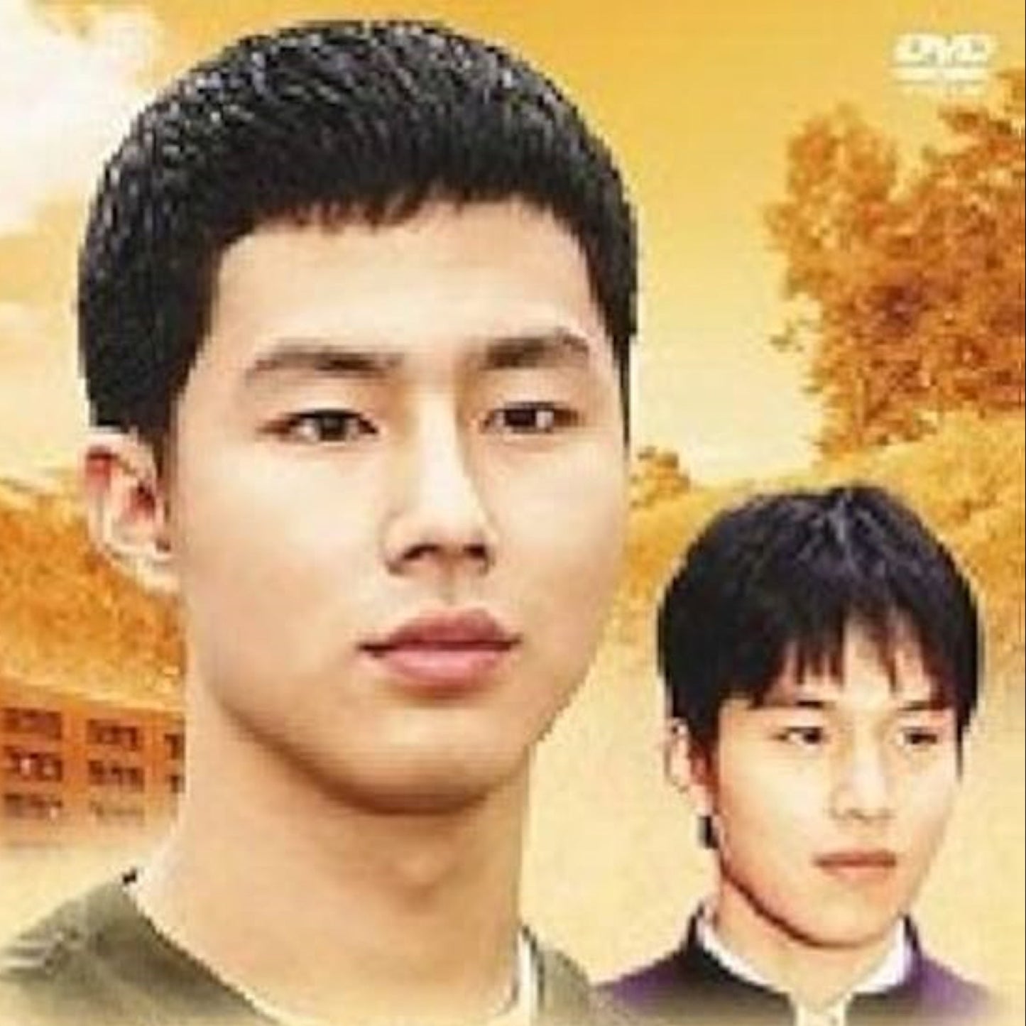 学校3 ベストセレクション DVD