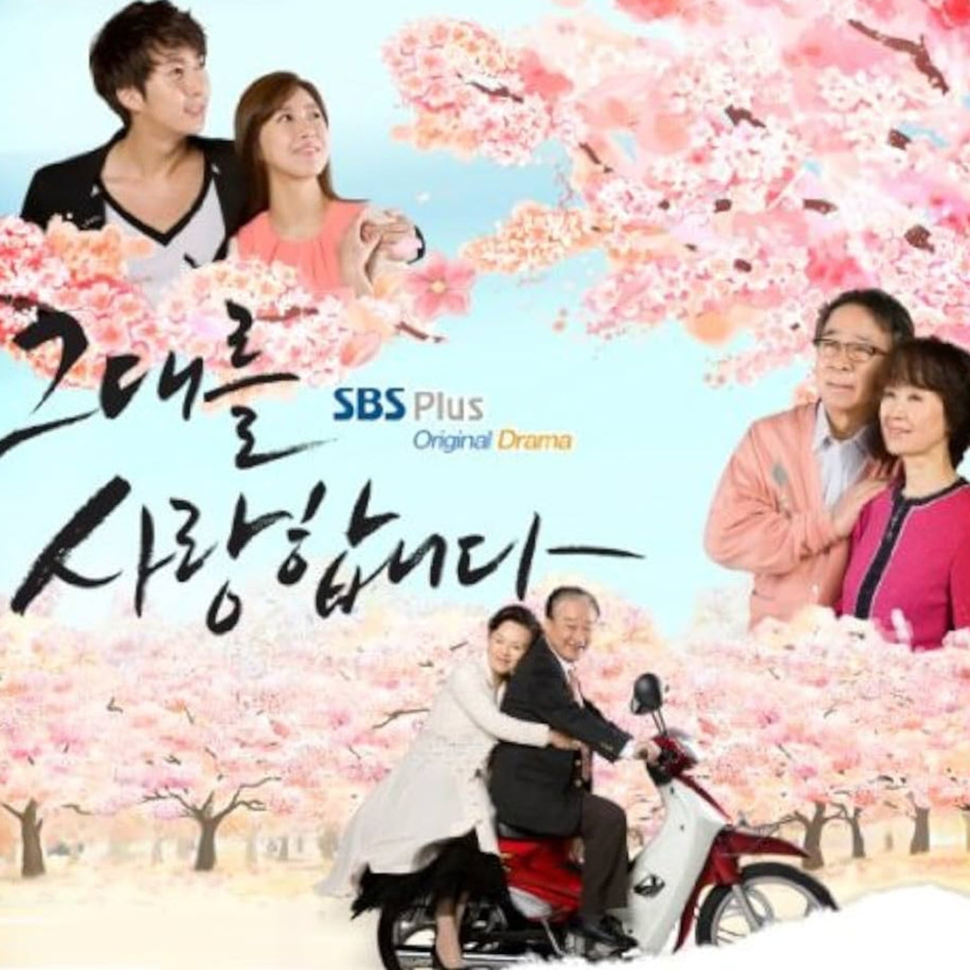あなたを愛してます DVD キム・ヒョンジュン、チョン・ヨンスク、キム・ホヨン、チョ・ヤンジャ 韓国ドラマ 日本語字幕 – サランマート ...