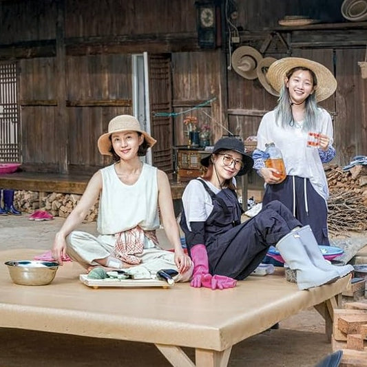 三食ごはん 山村編 DVD 韓国バラエティ