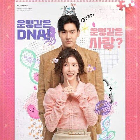 DNAラバー DVD Blu-ray