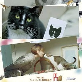 猫たちのアパートメント DVD 日本語字幕