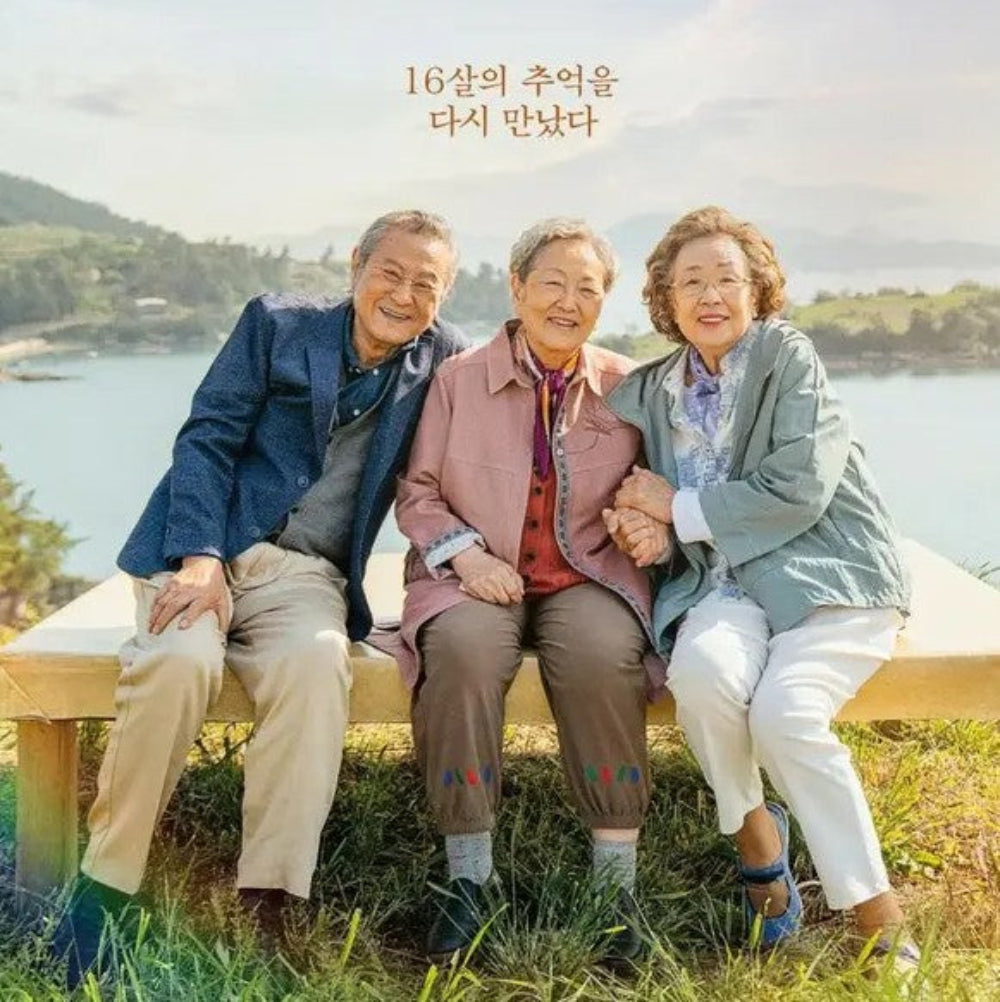 最後のピクニック DVD 韓国映画