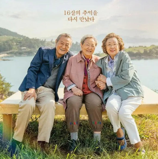 最後のピクニック DVD 韓国映画