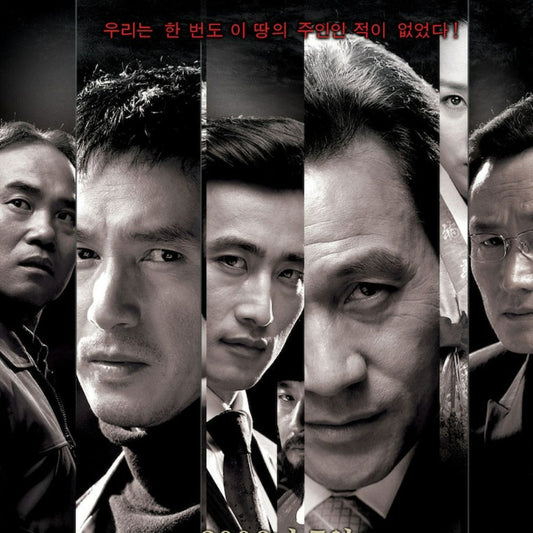 韓半島 DVD 韓国映画