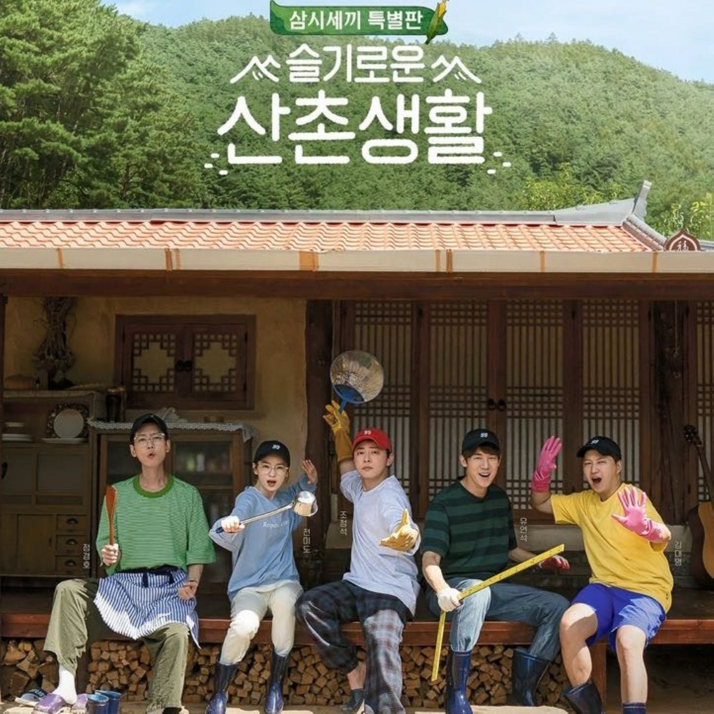 賢い山村生活 DVD バラエティ