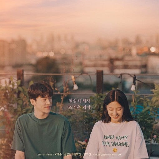 足の裏が熱くて KBSドラマSP2024 DVD