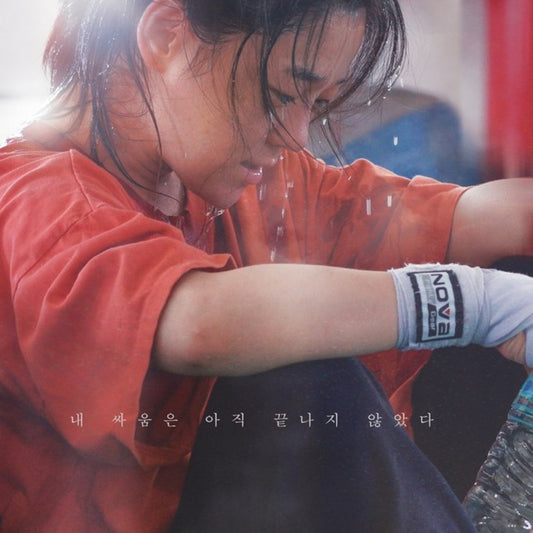ファイター、北からの挑戦者 DVD 韓国映画