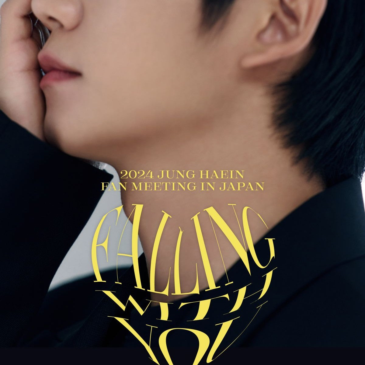 チョン・ヘイン ファンミ 2024 FALLING WITH YOU DVD 韓国バラエティ