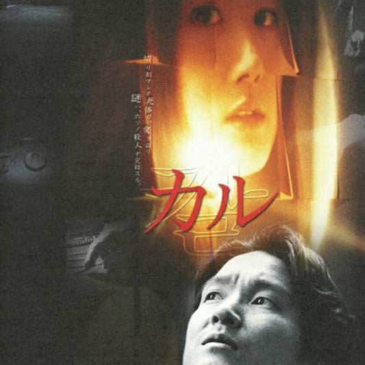 カル DVD 韓国映画