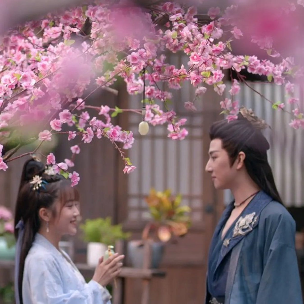 【華流】桃花夫婦（とうかふうふ）～偽装結婚は恋の始まり～