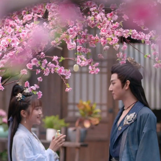 【華流】桃花夫婦（とうかふうふ）～偽装結婚は恋の始まり～ Blu-ray
