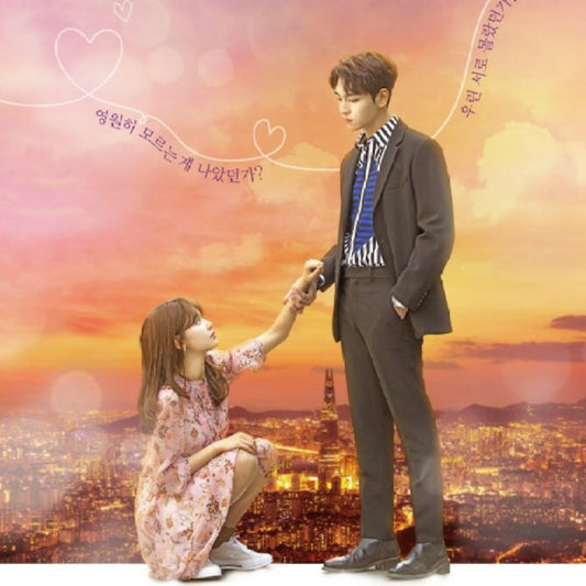 だから俺はアンチと結婚した DVD/Blu-ray