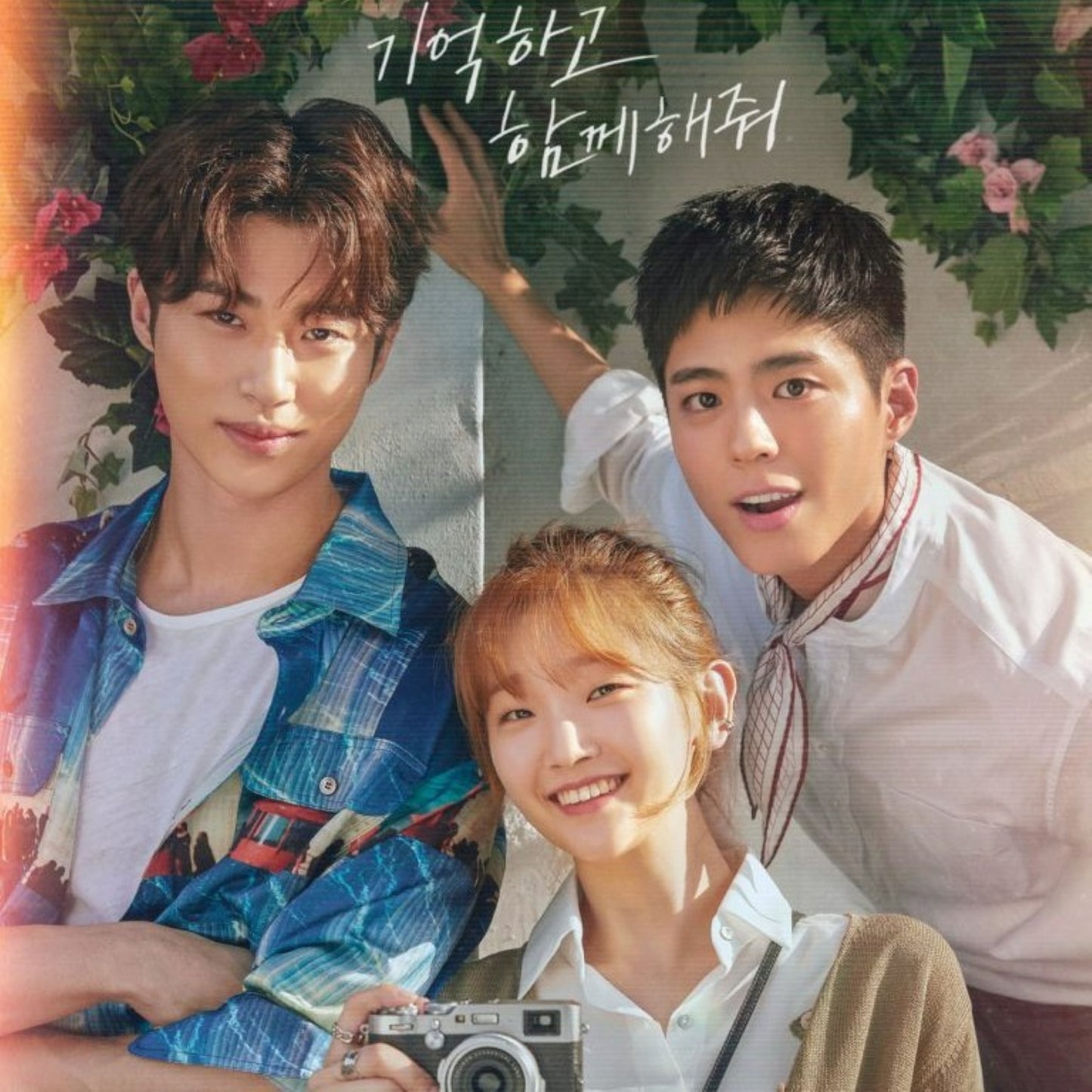 青春の記録 DVD/Blu-ray