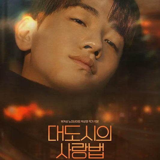 大都会の愛し方 DVD Blu-ray | ナム・ユンス&イ・スギョン主演 ロマンスドラマ 日本語字幕 韓国ドラマ