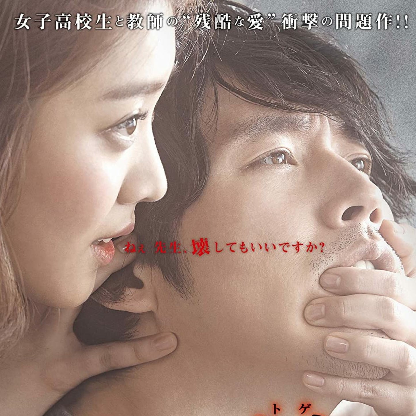 愛の棘 DVD 韓国映画