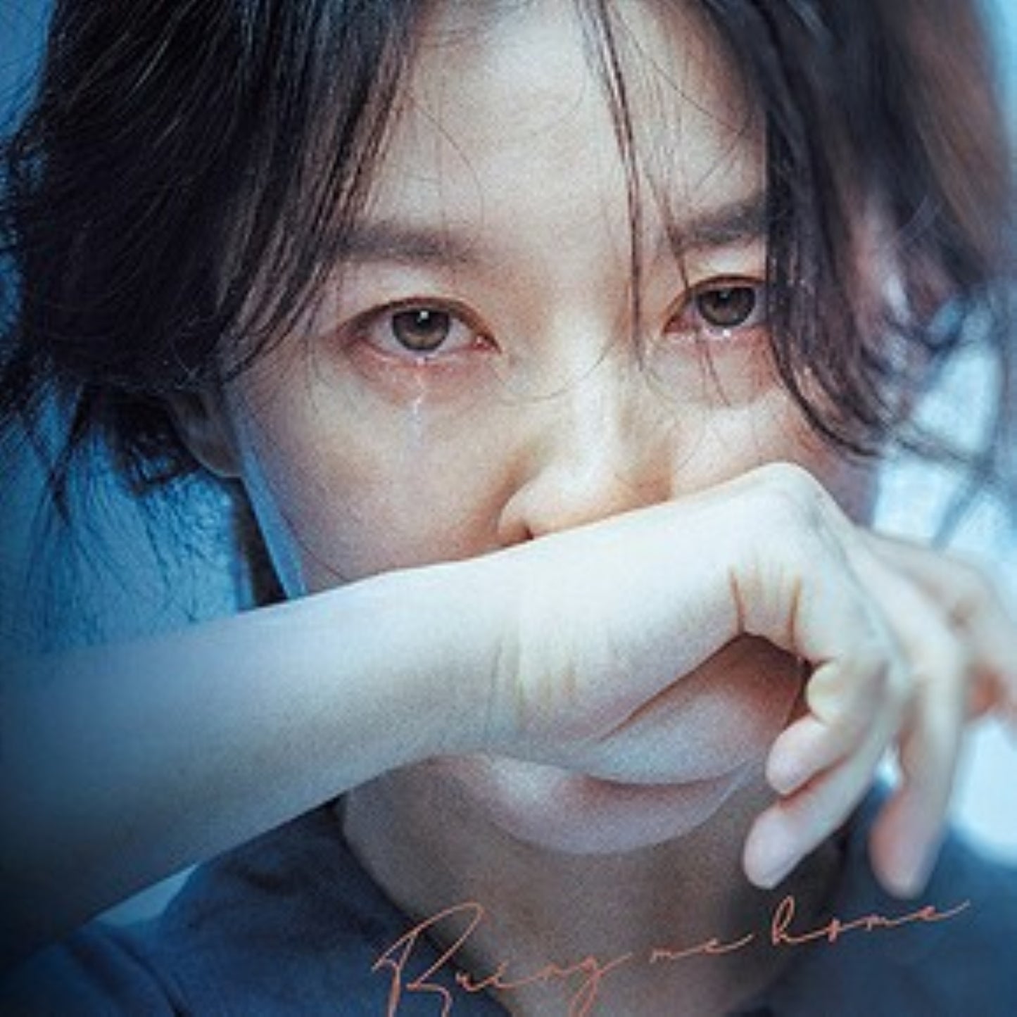 ブリング・ミー・ホーム 尋ね人 DVD 韓国映画