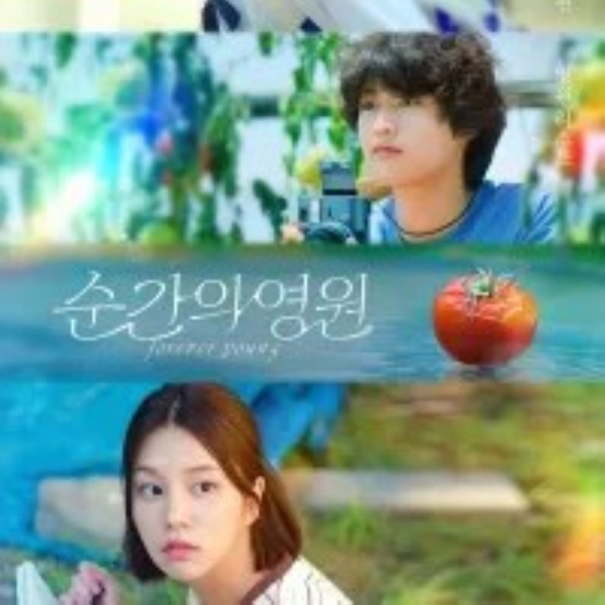 瞬間の永遠 (短編ドラマ) DVD