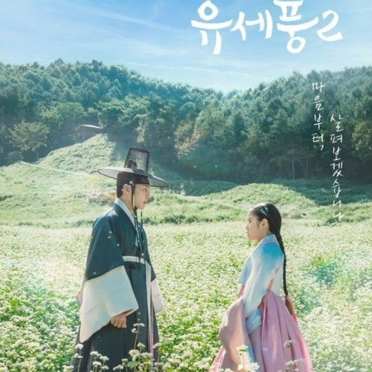 朝鮮精神科医ユ・セプン2 DVD/Blu-ray
