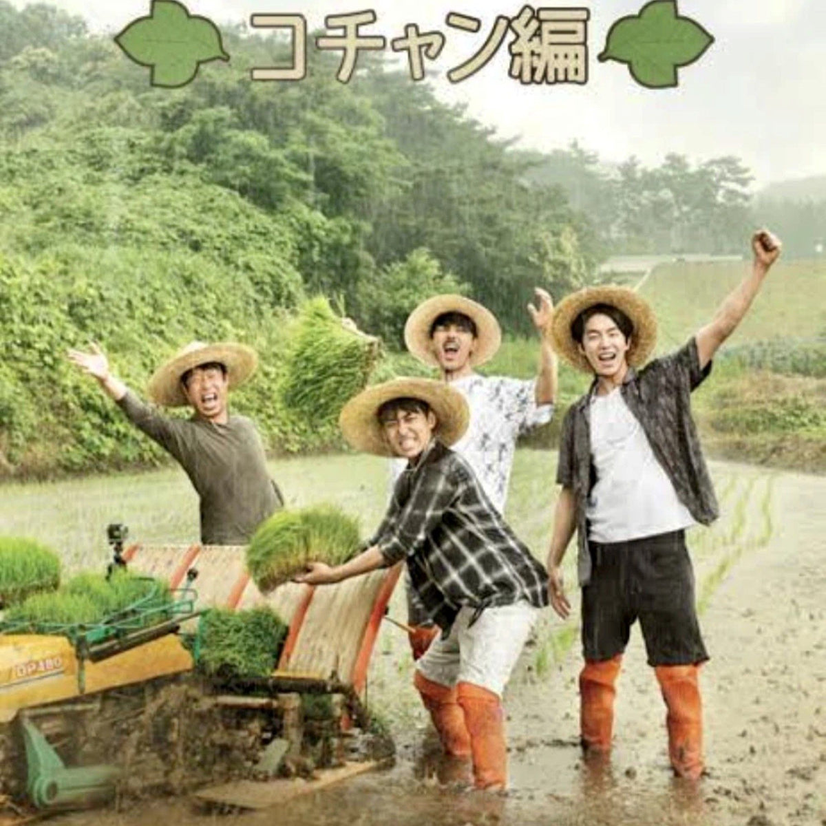 三食ごはん コチャン編 DVD バラエティ
